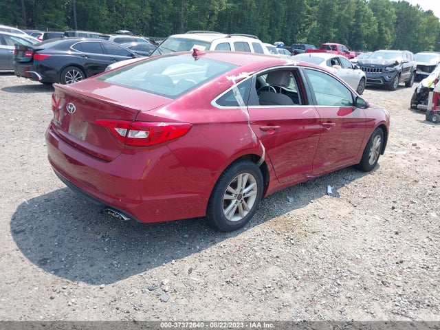 Hyundai Sonata 2.4l Se 2016 5NPE24AF0GH352891 Image 4