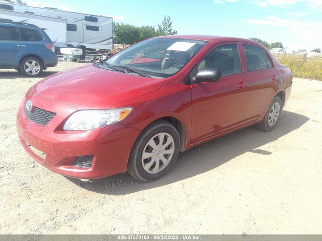 2010 TOYOTA COROLLA VIN: JTDBU4EE7AJ078389