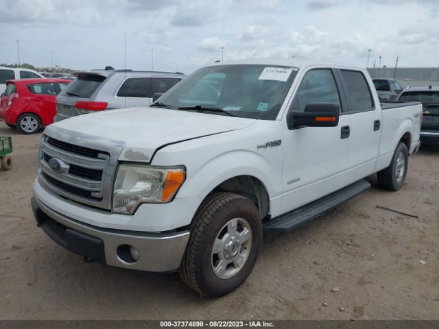 1FTFW1ET8EKE34261 Ford F-150 Xl/xlt/fx4/lariat