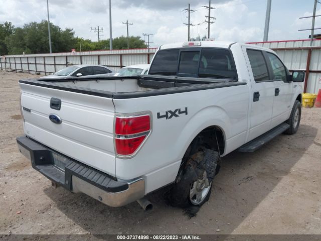 1FTFW1ET8EKE34261 Ford F-150 Xl/xlt/fx4/lariat