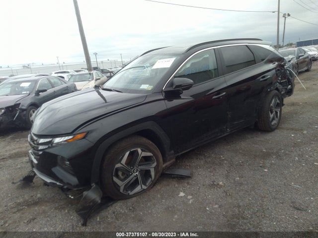 Hyundai TUCSON SEL 2023 5NMJFCAEXPH167748 Image 2