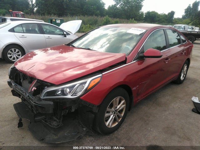 Hyundai Sonata 2.4l Se 2016 5NPE24AF3GH275806 Image 2