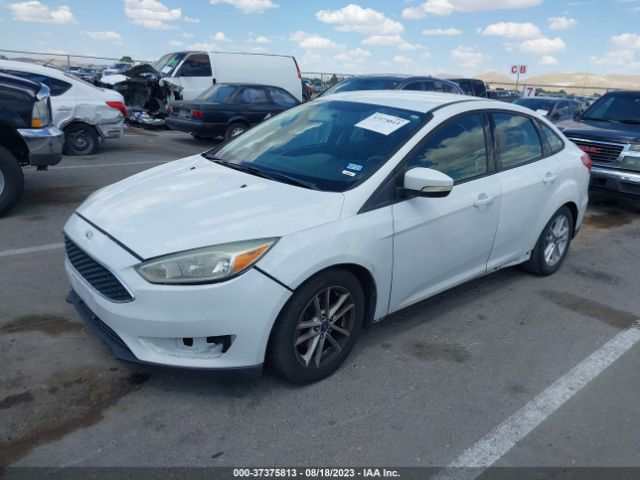 1FADP3F21FL243790 Ford FOCUS SE