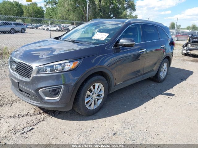 5XYPGDA56HG240106 KIA Sorento Lx V6
