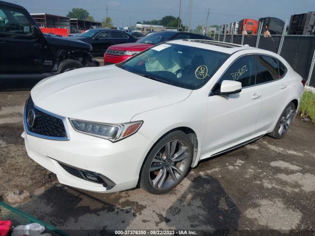 19UUB2F86KA007859 Acura Tlx W/advance Pkg
