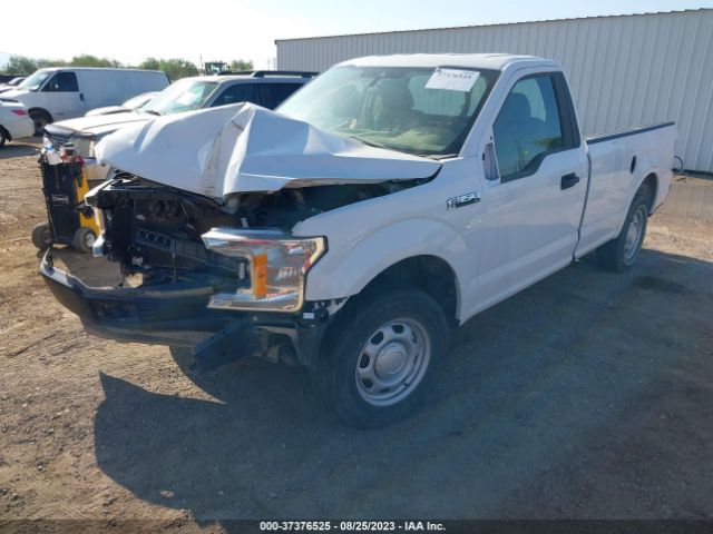 1FTMF1CBXKKD77123 Ford F-150 Xl/xlt