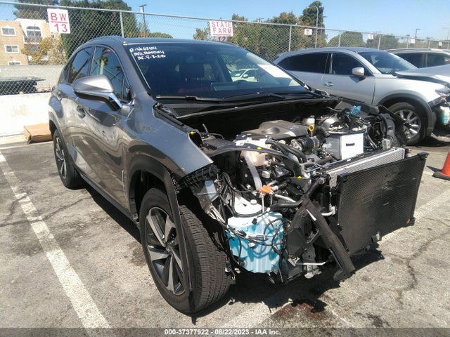 JTJDARBZ9L5008911 Lexus Nx Nx 300