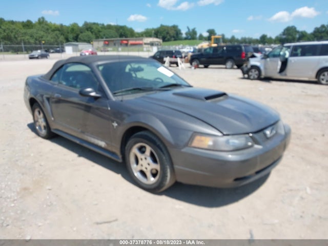 2003 FORD MUSTANG DELUXE/PREMIUM VIN: 1FAFP44483F336545