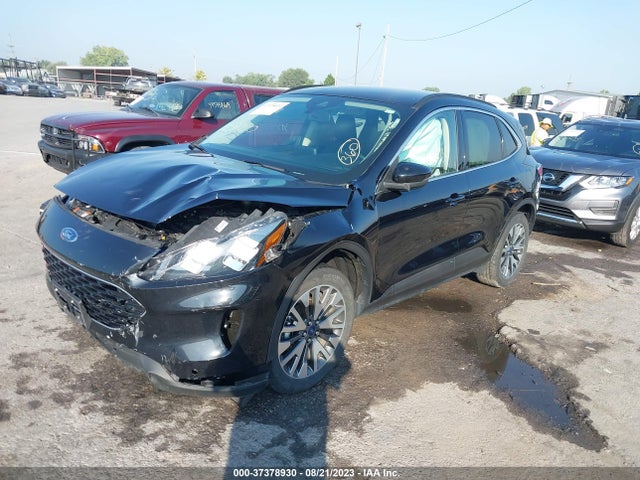 2020 FORD ESCAPE TITANIUM VIN: 1FMCU9J94LUB04597