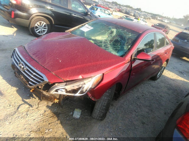Hyundai Sonata 2.4l Se 2016 5NPE24AF7GH352872 Image 2