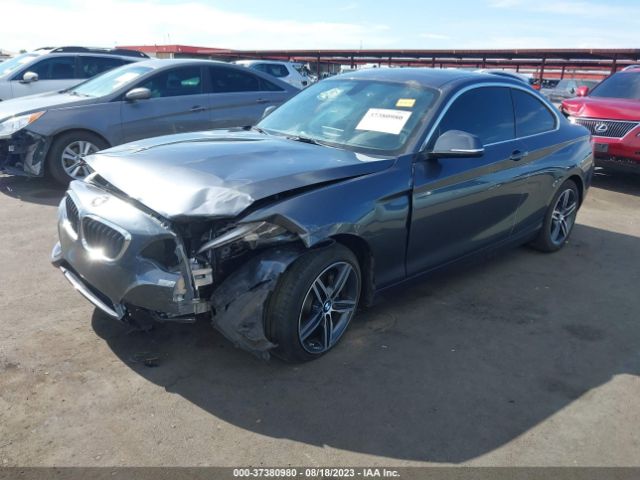 2017 BMW 2 SERIES WBA2F9C31HV664773 Photo 1
