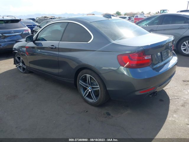 2017 BMW 2 SERIES WBA2F9C31HV664773 Photo 2