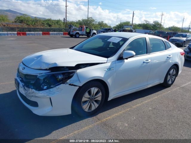 KNAGT4LC5H5008027 KIA Optima Hybrid Base