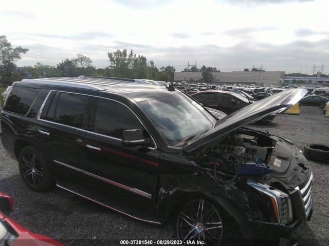 Cadillac Escalade Luxury 2019 1GYS4BKJ9KR267872 Image 13