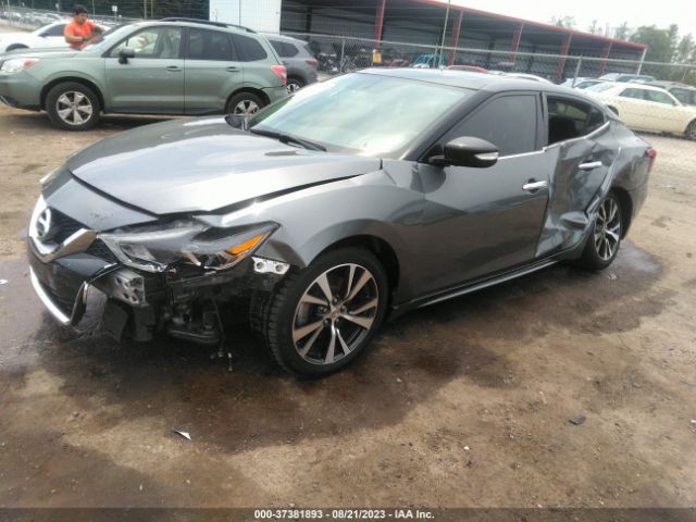 1N4AA6AP9HC436216 Nissan MAXIMA SL