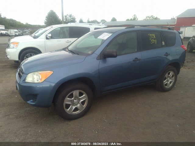 2010 TOYOTA RAV4 VIN: JTMBF4DV3AD036537