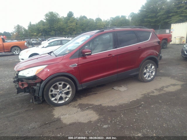 2013 FORD ESCAPE SEL VIN: 1FMCU0HX8DUD21961