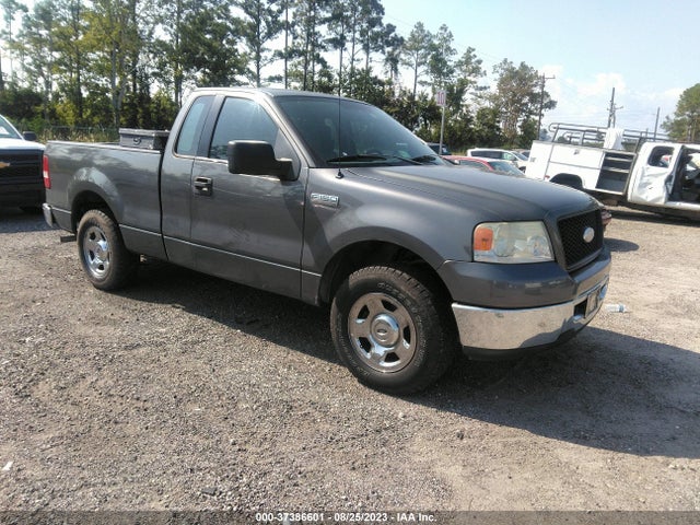 2006 FORD F-150 XL/STX/XLT VIN: 1FTRF12216NA39525