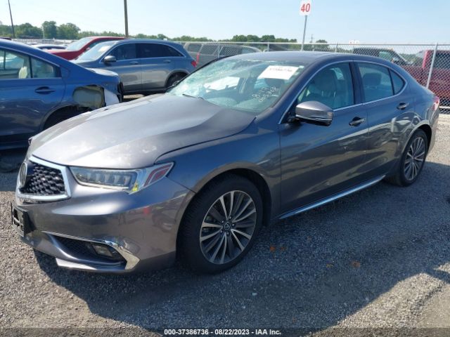 19UUB3F79JA005308 Acura Tlx W/advance Pkg
