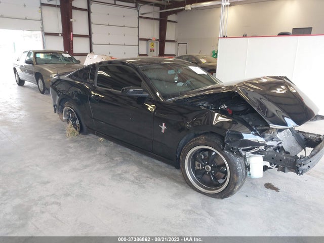 2014 FORD MUSTANG V6 VIN: 1ZVBP8AMXE5221990