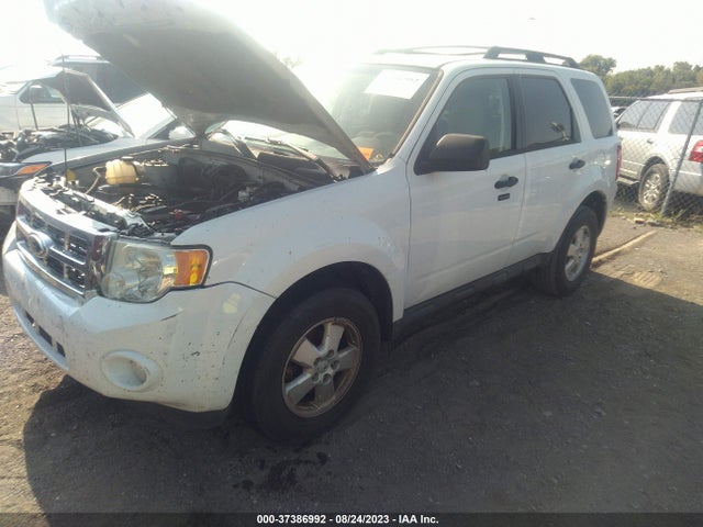 2011 FORD ESCAPE XLT VIN: 1FMCU9D76BKC39259