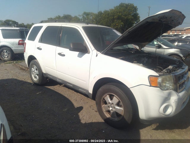 2011 FORD ESCAPE XLT VIN: 1FMCU9D76BKC39259