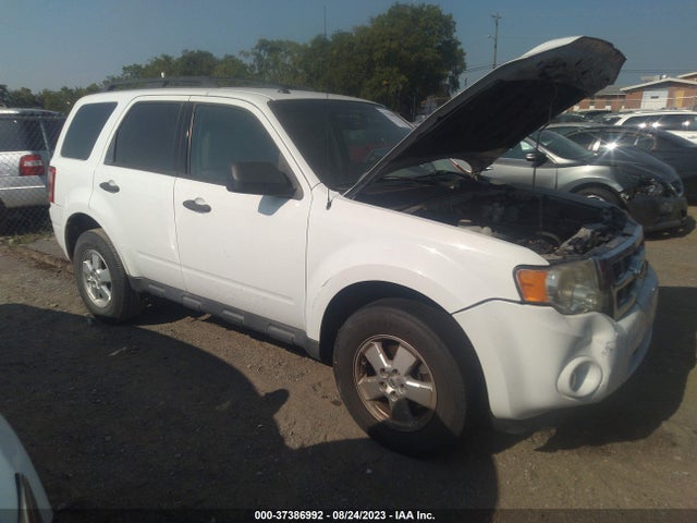 2011 FORD ESCAPE XLT VIN: 1FMCU9D76BKC39259