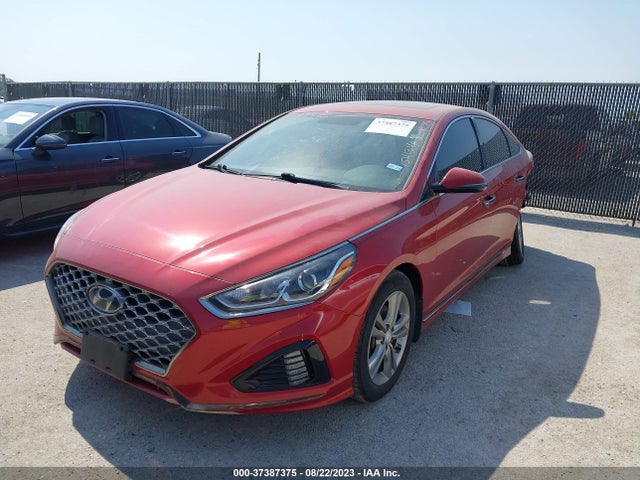 Hyundai Sonata Sport 2019 5NPE34AF4KH769601 Image 2