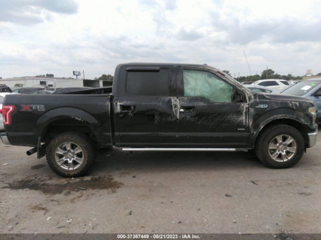 1FTEW1EP2GFD26034 Ford F-150 Xlt/xl/lariat
