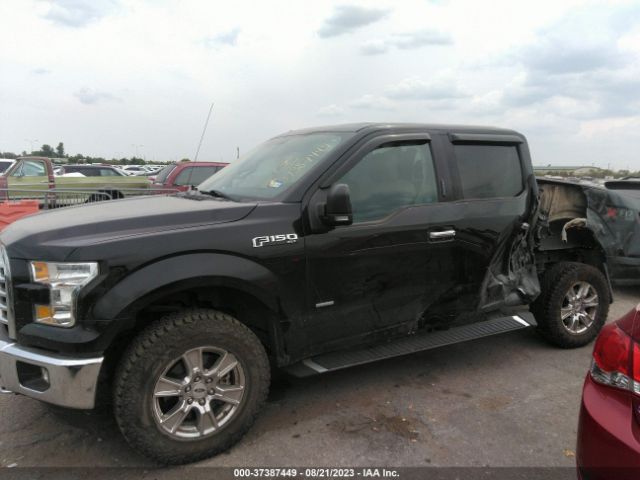 1FTEW1EP2GFD26034 Ford F-150 Xlt/xl/lariat