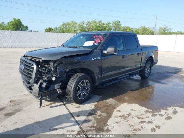 1FTEW1CP8GKF79952 Ford F-150 Xl/lariat/xlt