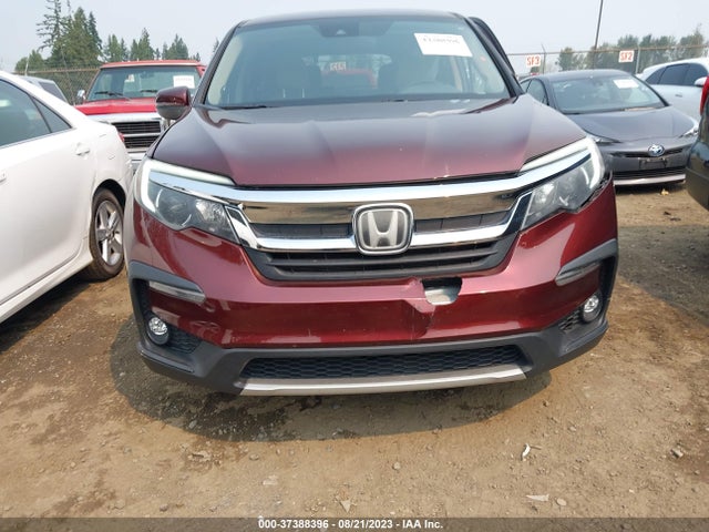 Honda Pilot Ex 2019 5FNYF6H39KB036146 Image 12