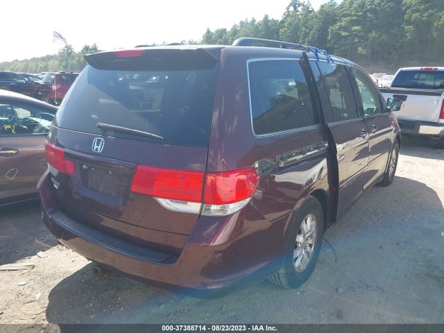 2008 HONDA ODYSSEY EX-L VIN: 5FNRL38688B405593