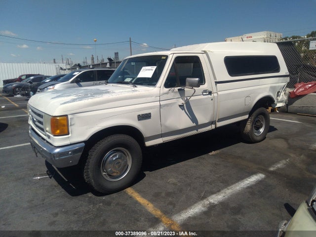 1991 FORD F250 VIN: 2FTHF25G7MCA37614