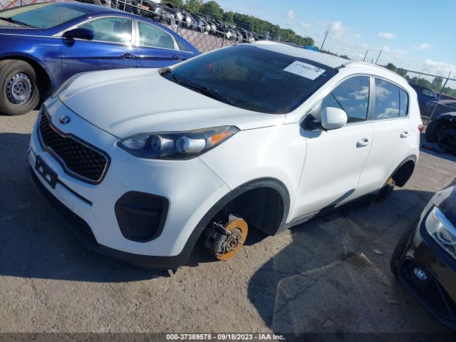 KNDPM3ACXH7065678 KIA Sportage Lx
