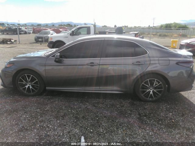 4T1G11AKXPU095540 Toyota Camry Se/se Nightshade