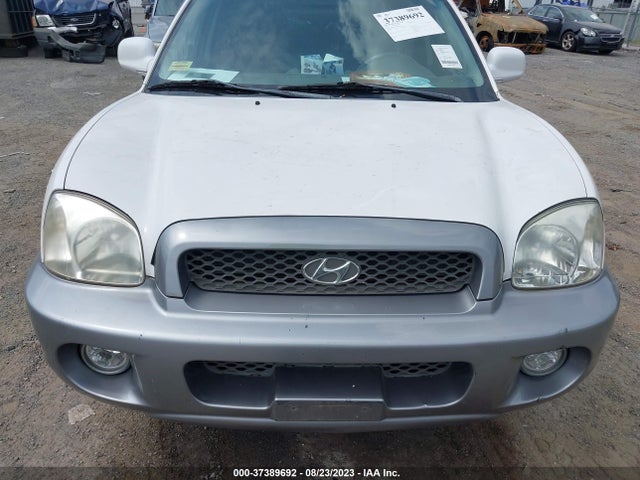 2003 HYUNDAI SANTA FE GLS/LX VIN: KM8SC13D73U435840