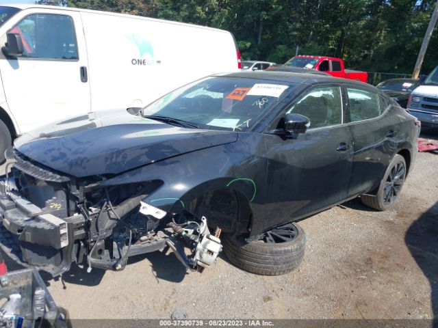 1N4AA6EV6MC502465 Nissan Maxima Sr