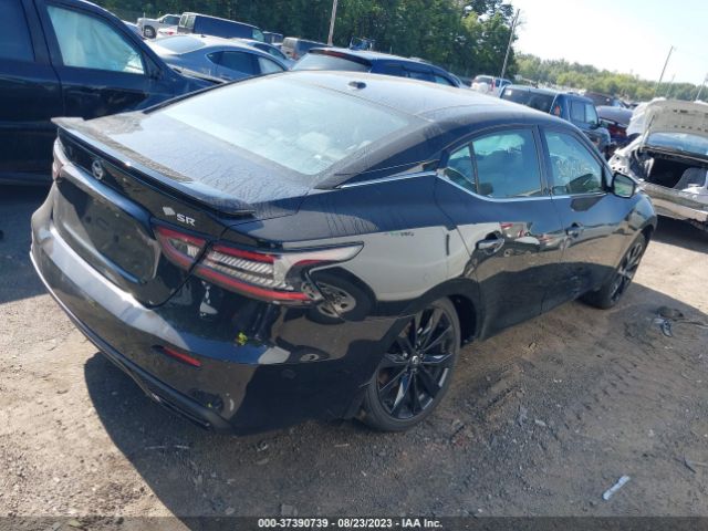1N4AA6EV6MC502465 Nissan Maxima Sr
