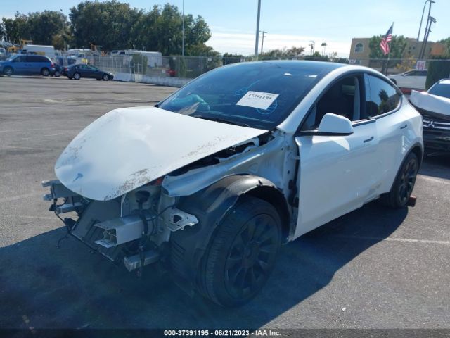 5YJYGDEE3MF260457 Tesla Model Y Long Range