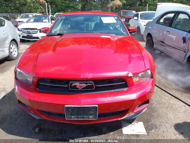 Продажа на аукционе авто 2011 Ford Mustang V6, vin: 1ZVBP8AM0B5135874, номер лота: 37391469
