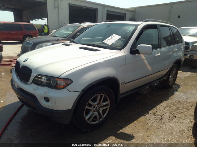2005 BMW X5 3.0I VIN: 5UXFA13595LY22529