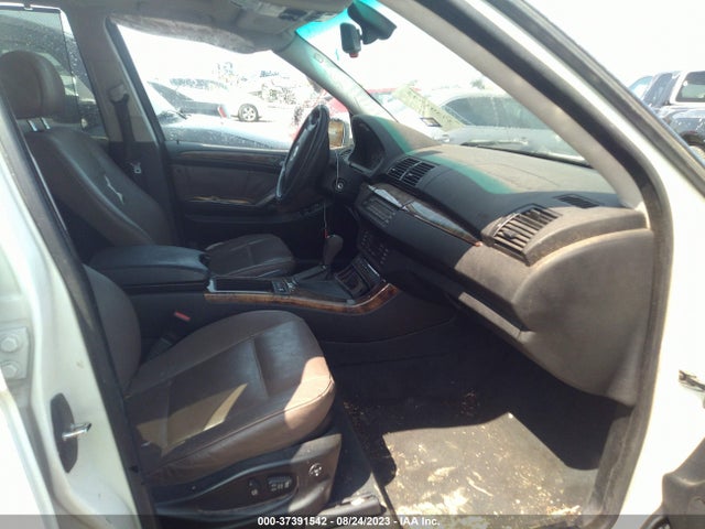 2005 BMW X5 3.0I VIN: 5UXFA13595LY22529