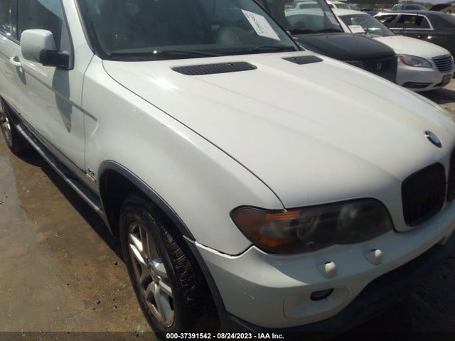 2005 BMW X5 3.0I VIN: 5UXFA13595LY22529