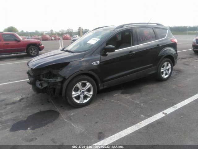 1FMCU0GX3EUC38649 Ford ESCAPE SE