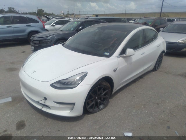 Tesla Model 3 Long Range/performance 2019 5YJ3E1EB1KF433488 Image 2