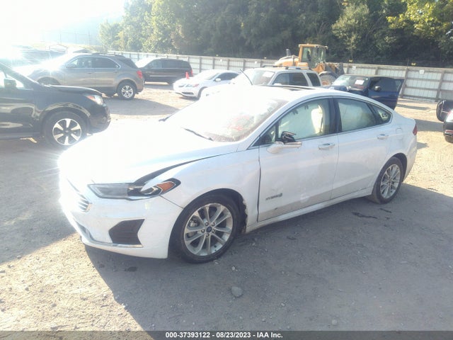 Ford Fusion Hybrid Sel 2019 3FA6P0MU3KR185687 Image 2
