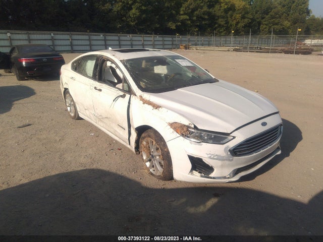 Ford Fusion Hybrid Sel 2019 3FA6P0MU3KR185687 Image 6