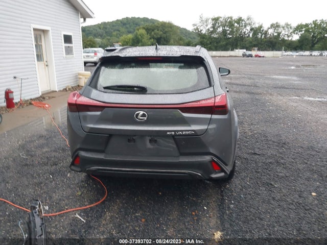 2023 Lexus UX, VIN: JTHB9JBH9P2066096
