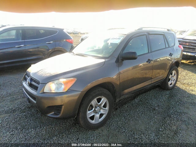 2009 TOYOTA RAV4 VIN: JTMZF33V19D012971